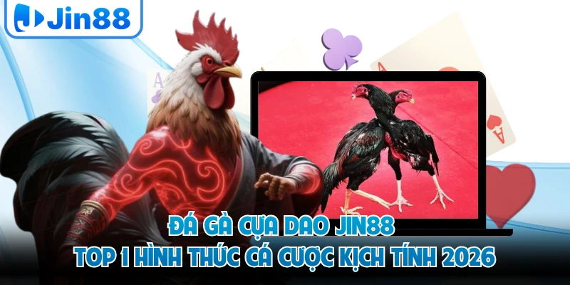 Đá Gà Cựa Dao JIN88 - Top 1 Hình Thức Cá Cược Kịch Tính 2026