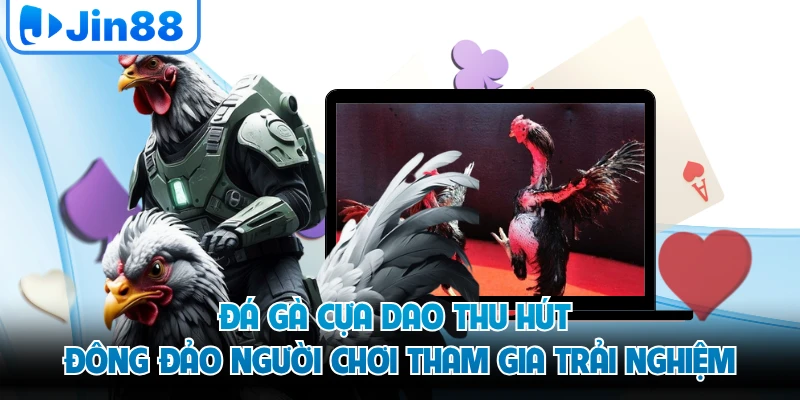 Đá gà cựa dao thu hút đông đảo người chơi tham gia trải nghiệm