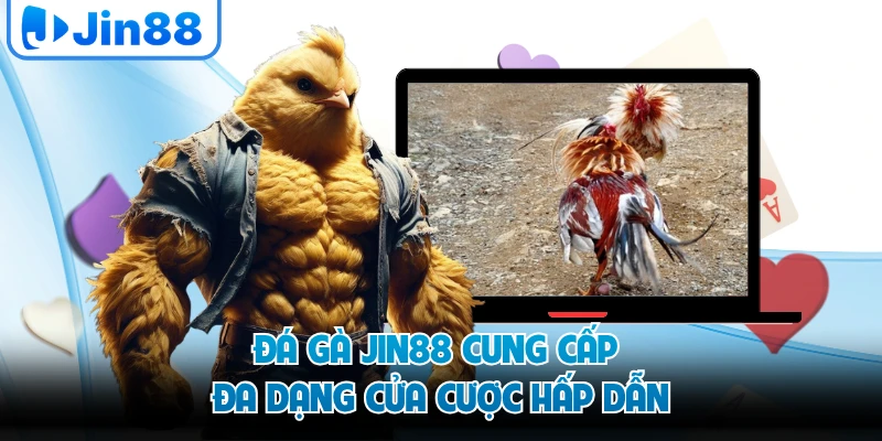 Đá gà JIN88 cung cấp đa dạng cửa cược hấp dẫn