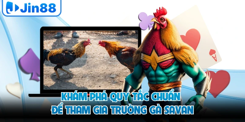 Khám phá quy tắc chuẩn để tham gia trường gà savan