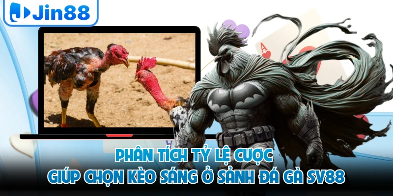Phân tích tỷ lệ cược giúp chọn kèo sáng ở sảnh đá gà SV88