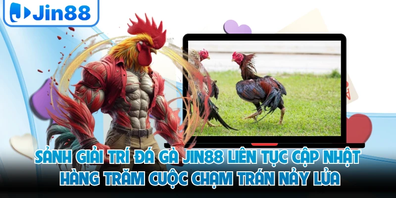 Sảnh giải trí đá gà JIN88 liên tục cập nhật hàng trăm cuộc chạm trán nảy lửa